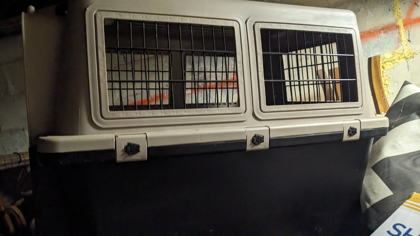 Large Hard Plastic Pet Travel Crate - photo 3