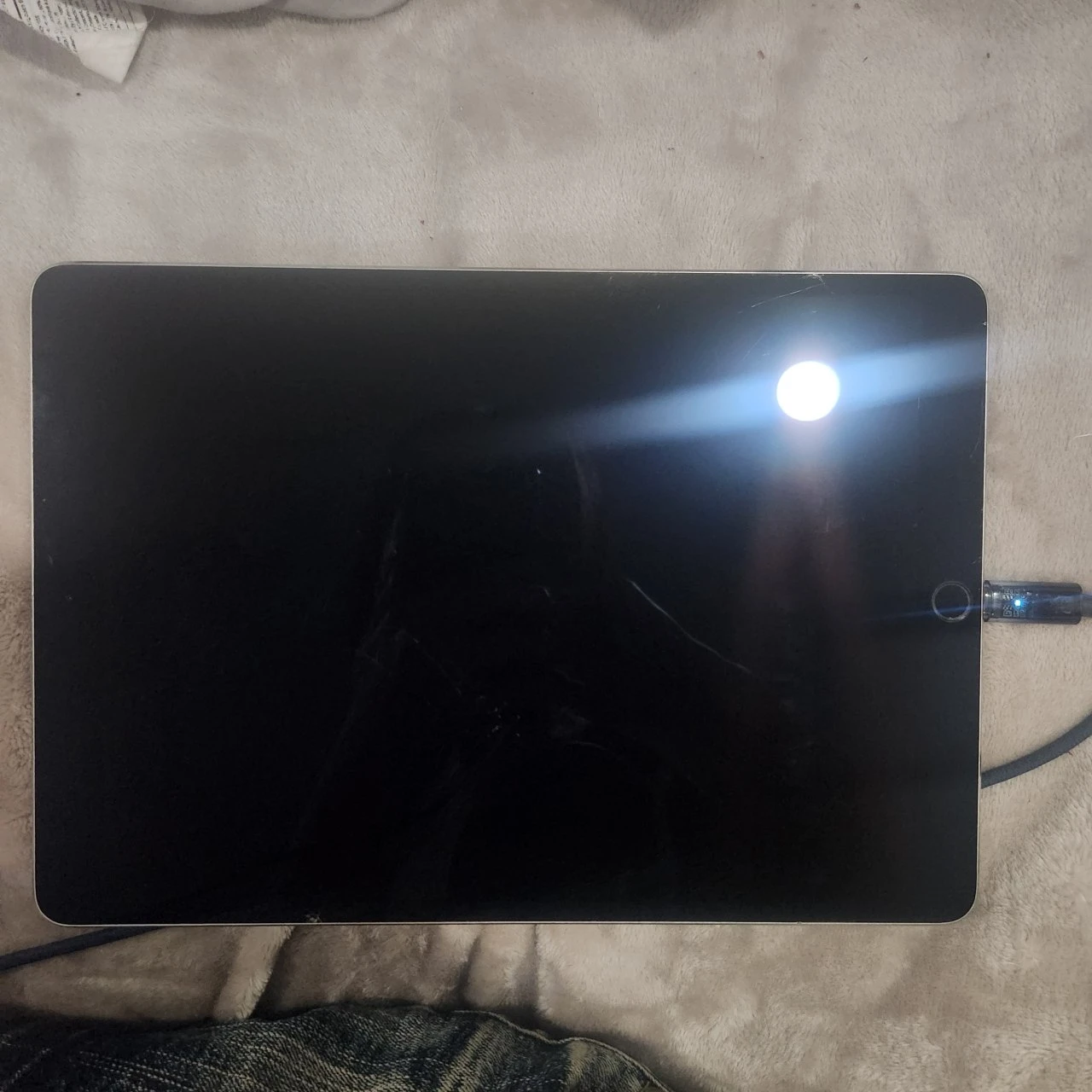 Apple iPad Pro 10.5-inch 256GB - photo 3
