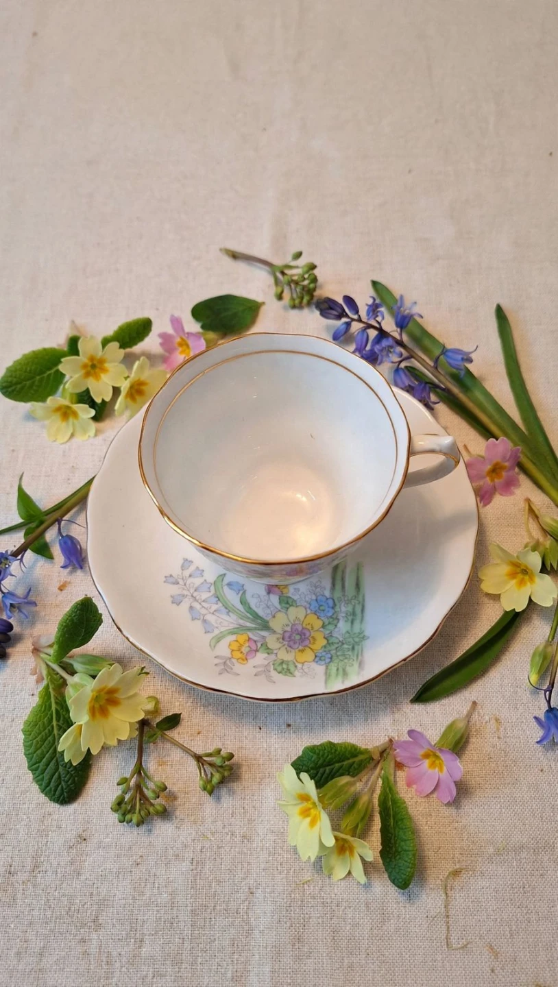 Colclough Spring Flowers Bone China Teacup & Saucer - photo 4