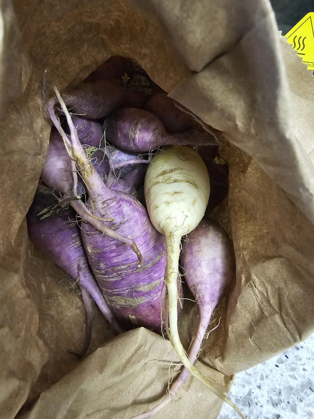 Fresh Purple and White Daikon Radishes