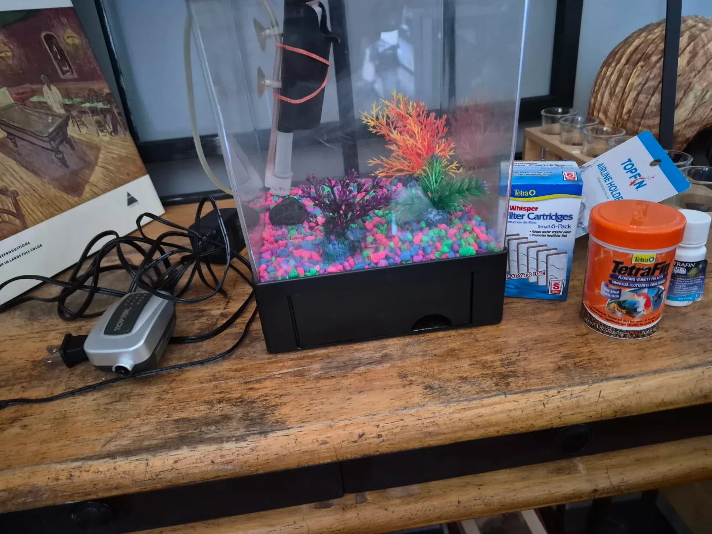 Top Fin Aquarium Tank Setup - photo 2