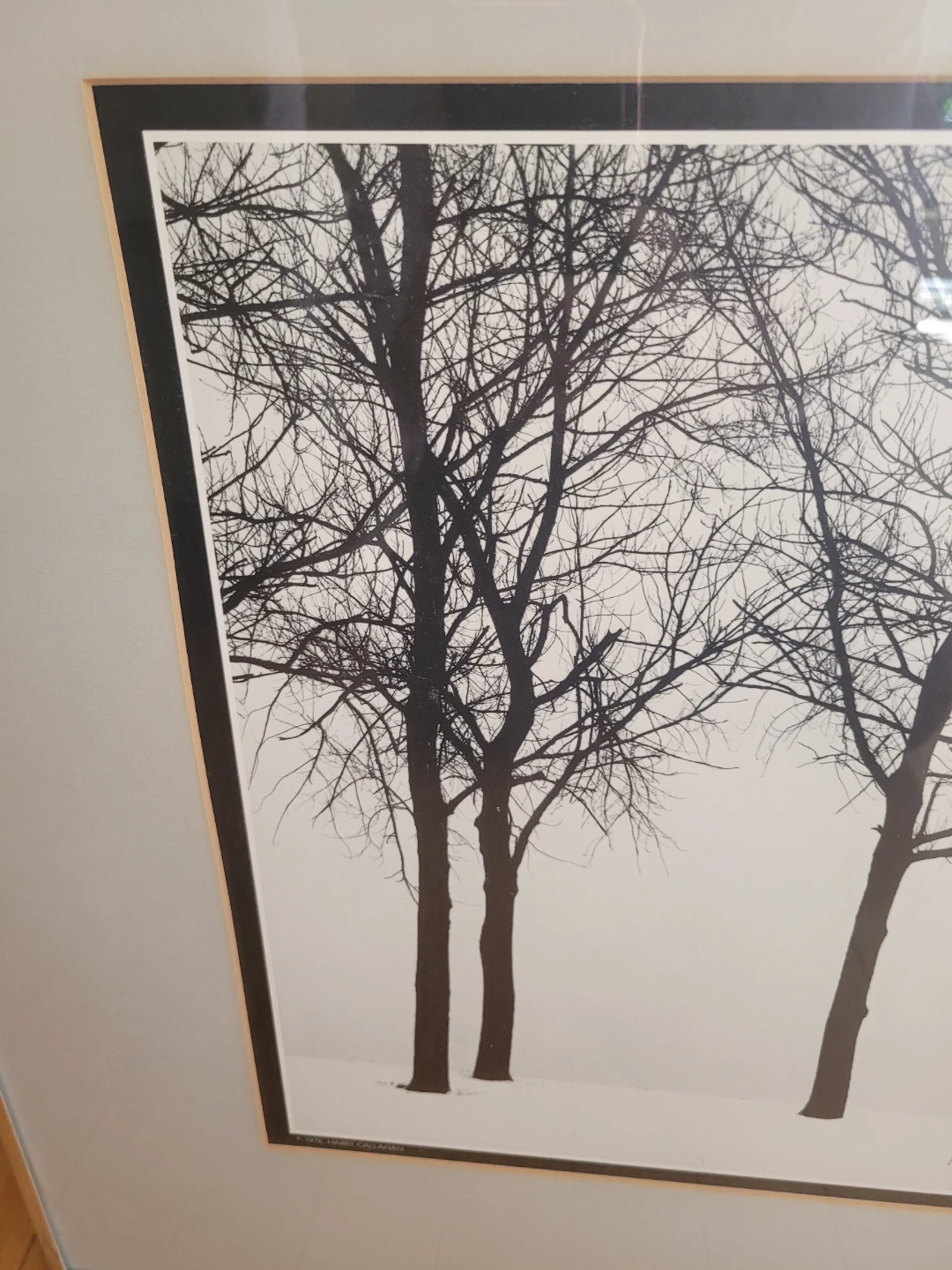 Harry Callahan Chicago 1950 Framed Print - photo 2