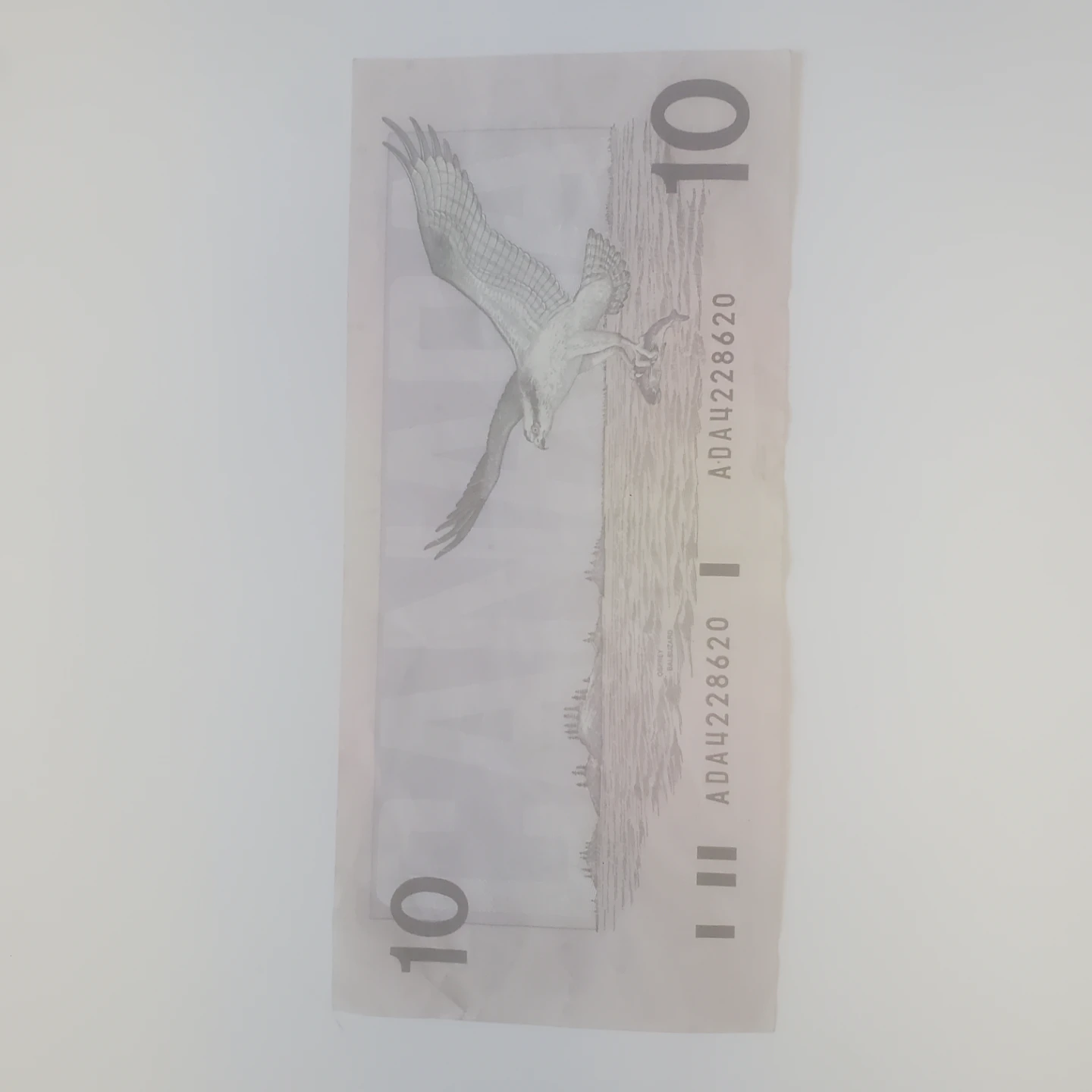 1989 Bank of Canada Ten Dollar Bill - photo 2