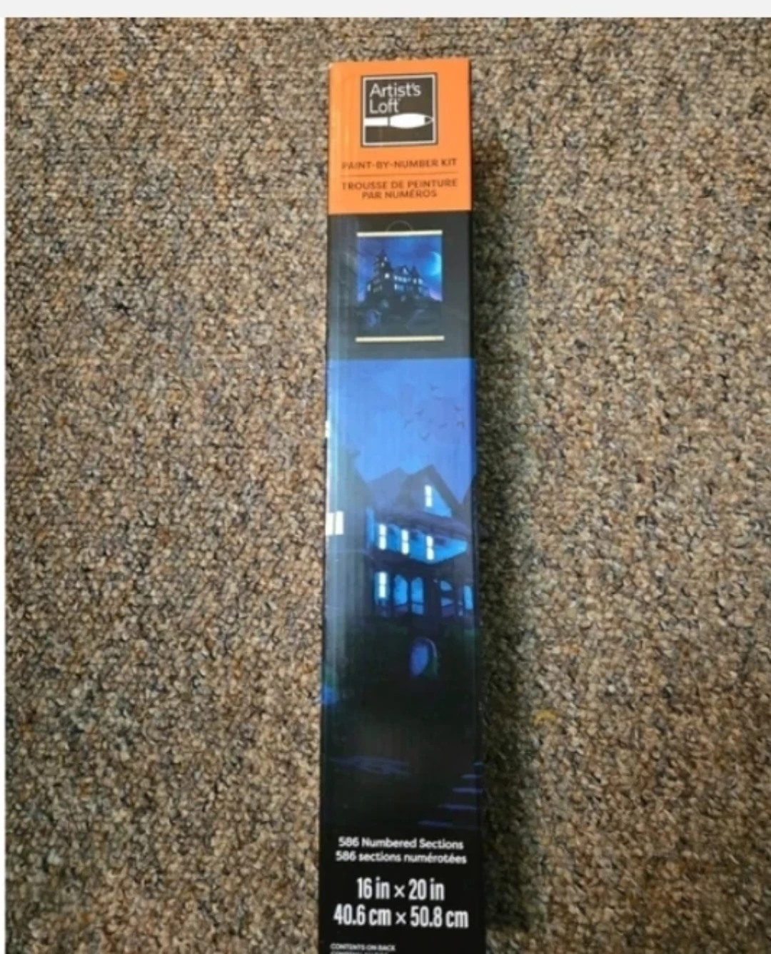 Artist’s Loft 16x20 Haunted House Paint By Number Kit – New