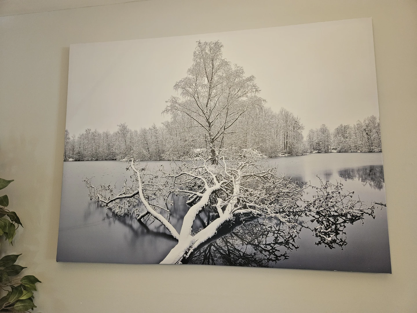 Winter Forest Lake Canvas Wall Art