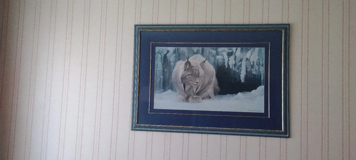 Framed Lynx Print - photo 2
