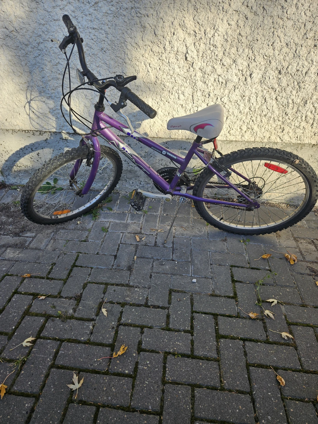 Girls Bicycle - 24"