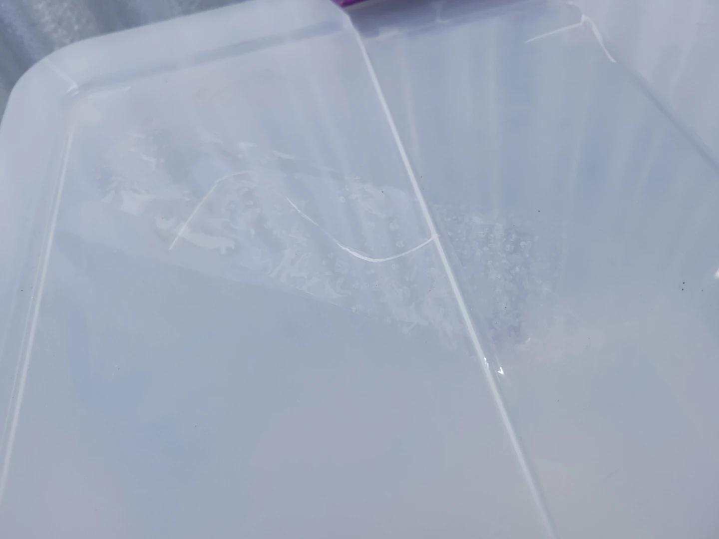 Clear Plastic Storage Bins - photo 3
