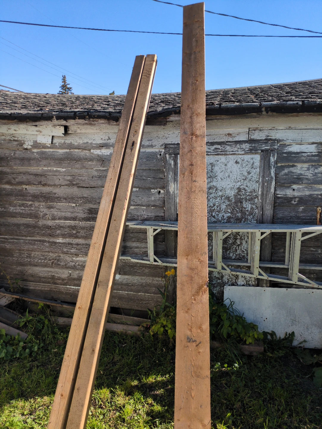 Two Treated Lumber Planks