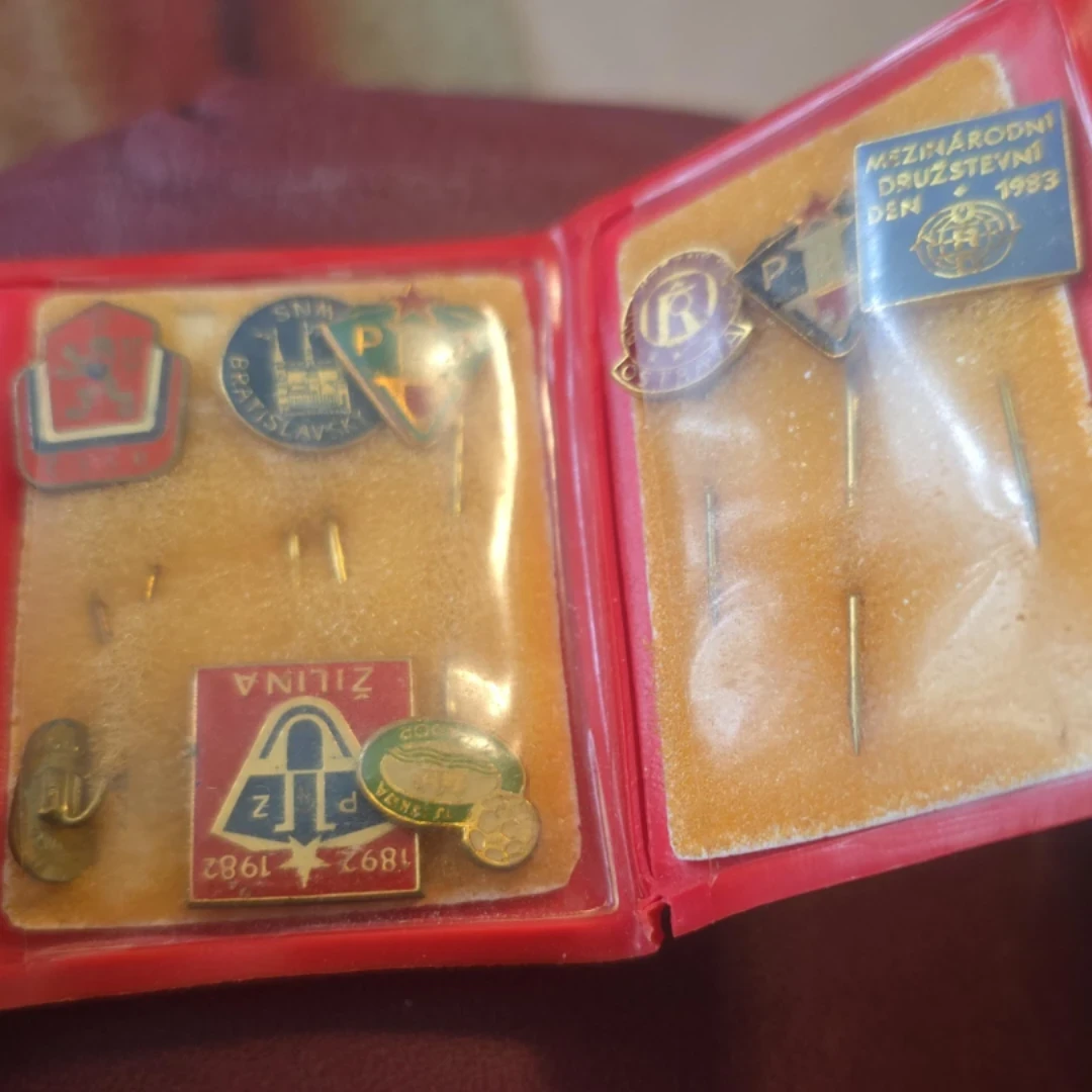 Vintage Collectible Pins Set