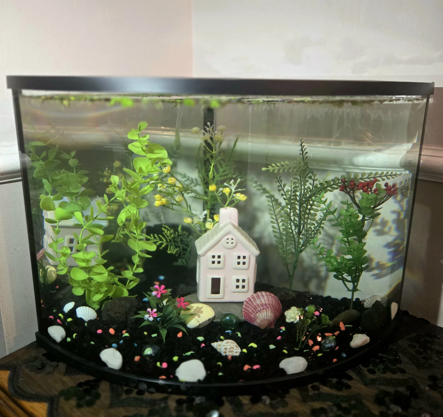 Aquarium for Beginners COMPLETE SETUP - photo 4