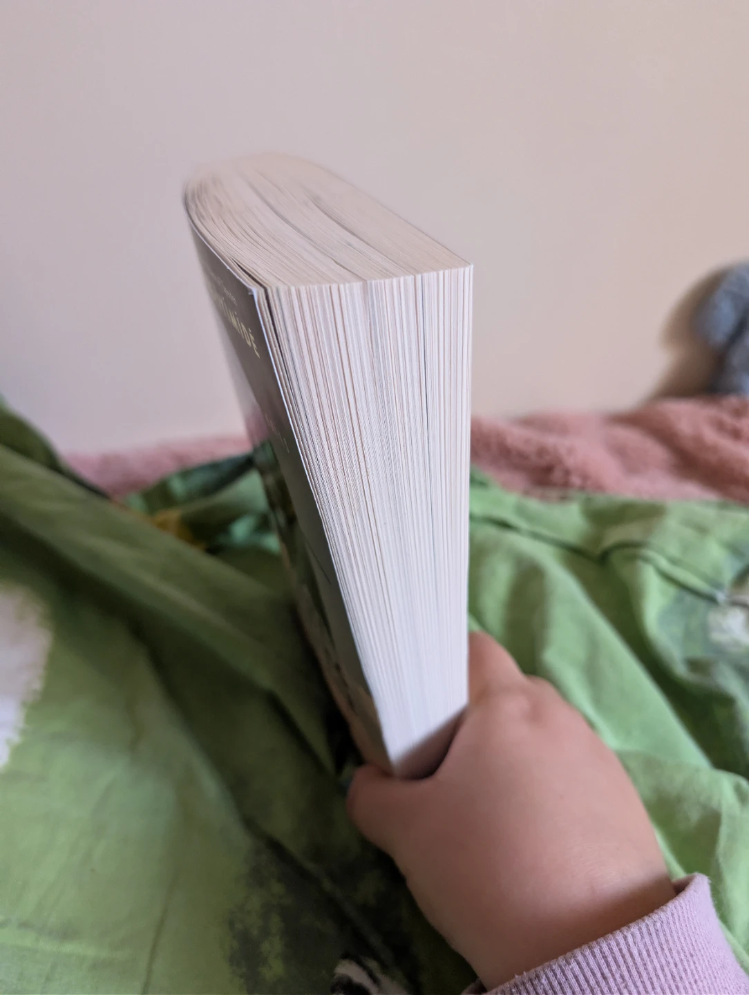 Where Sleeping Girls Lie by Faridah Àbíké-Íyímídé - photo 4