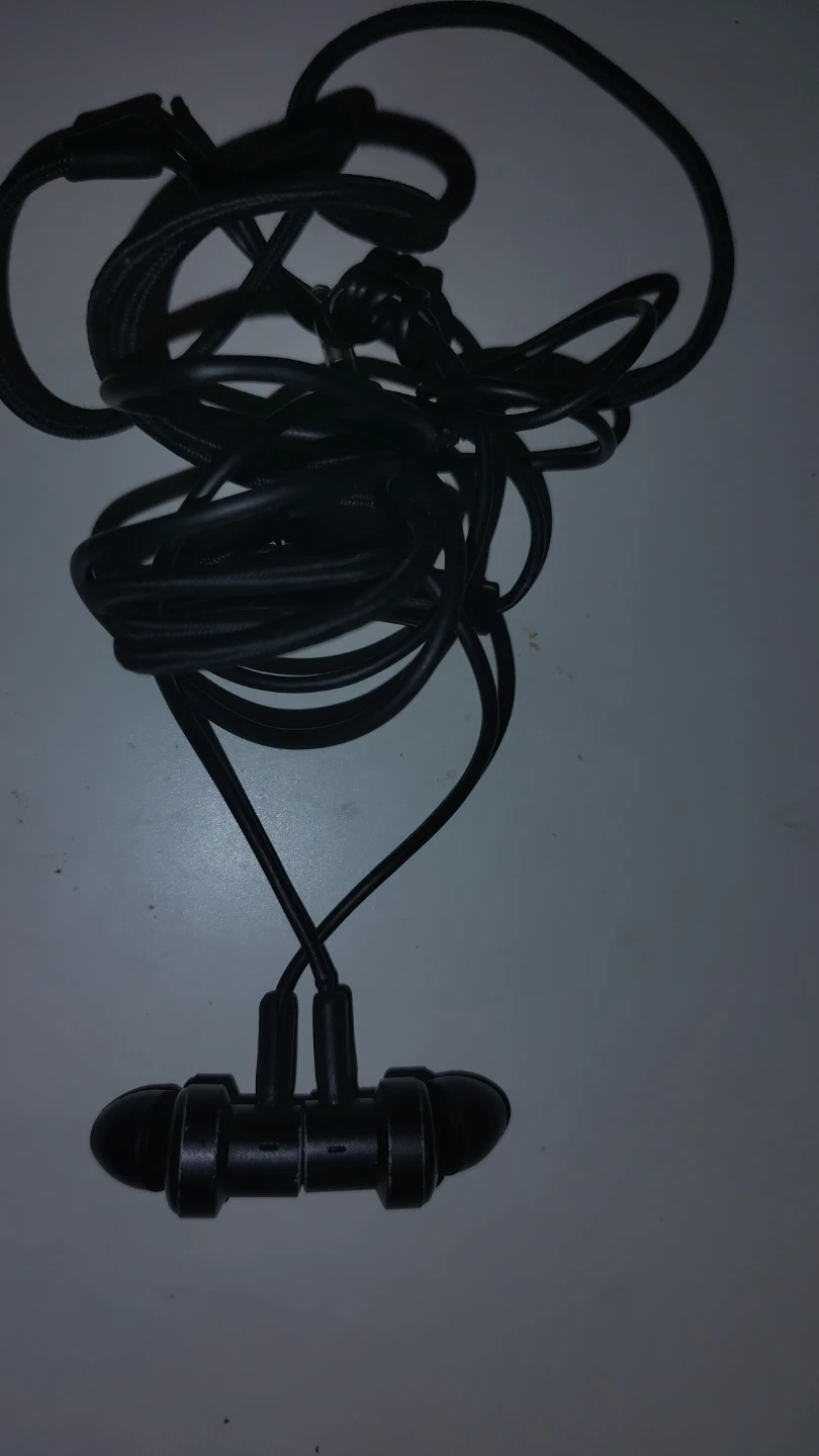 Black Wired Earbuds