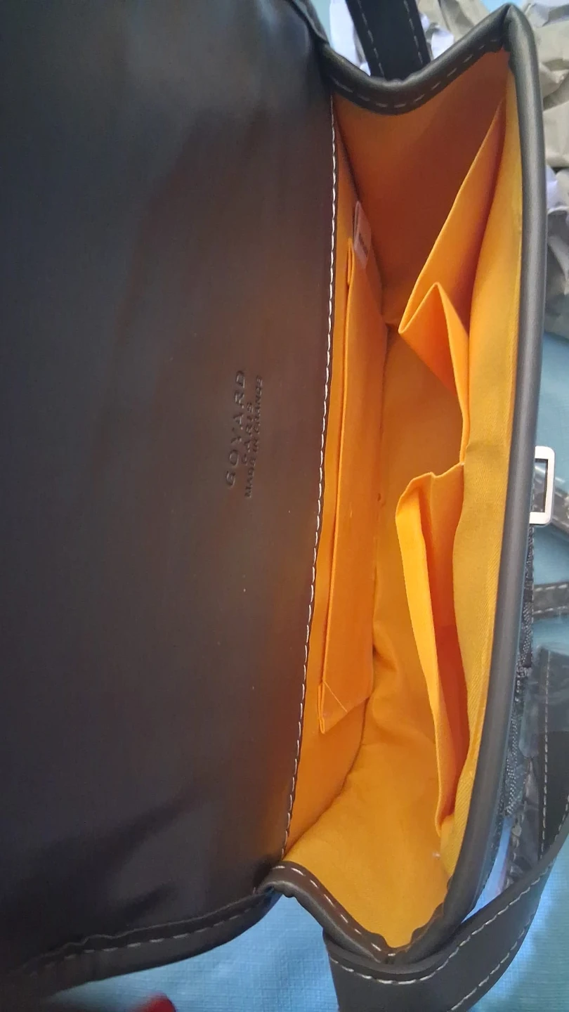 Goyard Paris Patterned Crossbody Bag - photo 4
