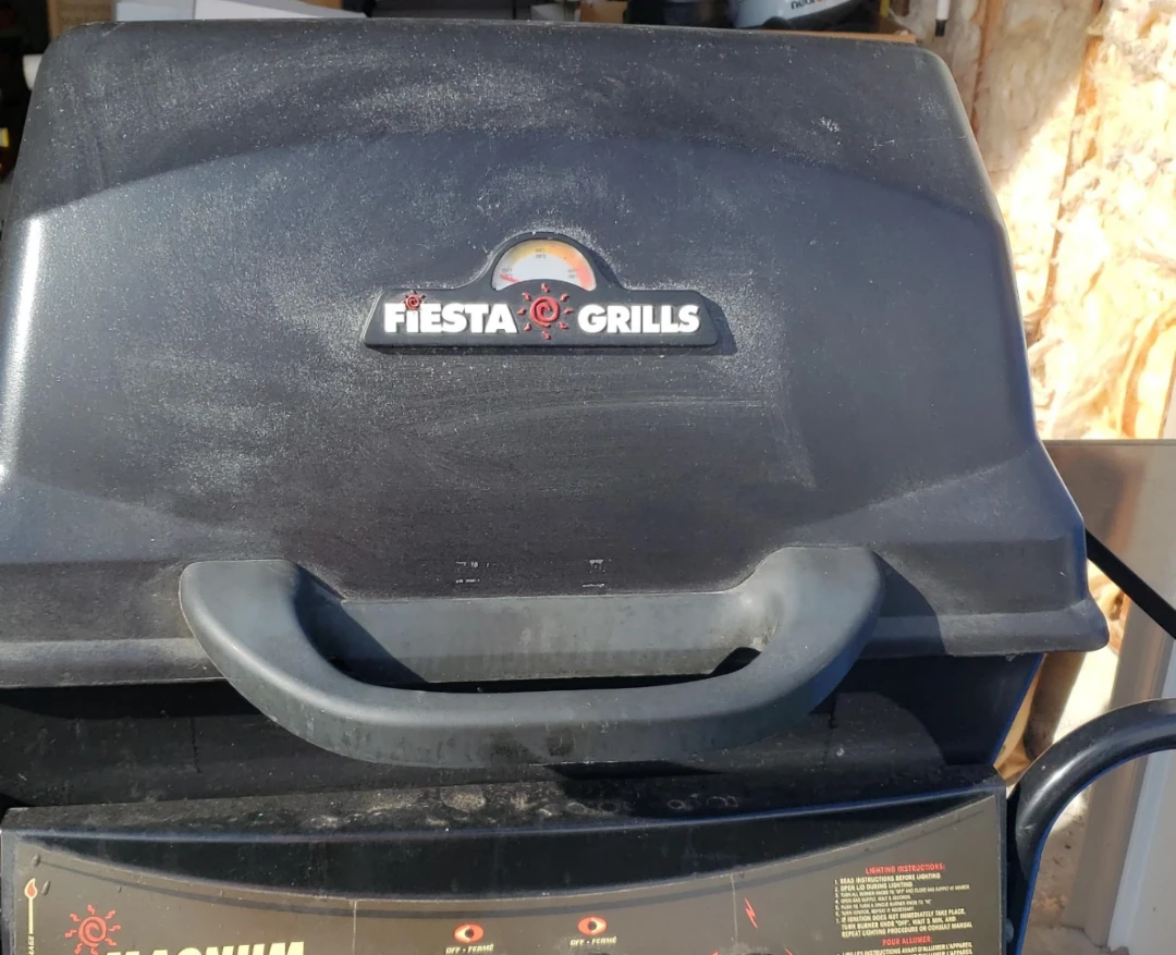Fiesta Gas Grill