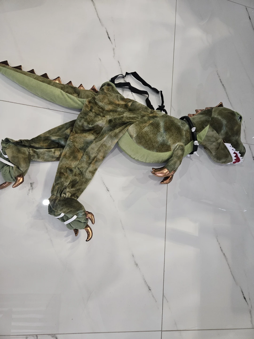 Childrens Dinosaur Costume