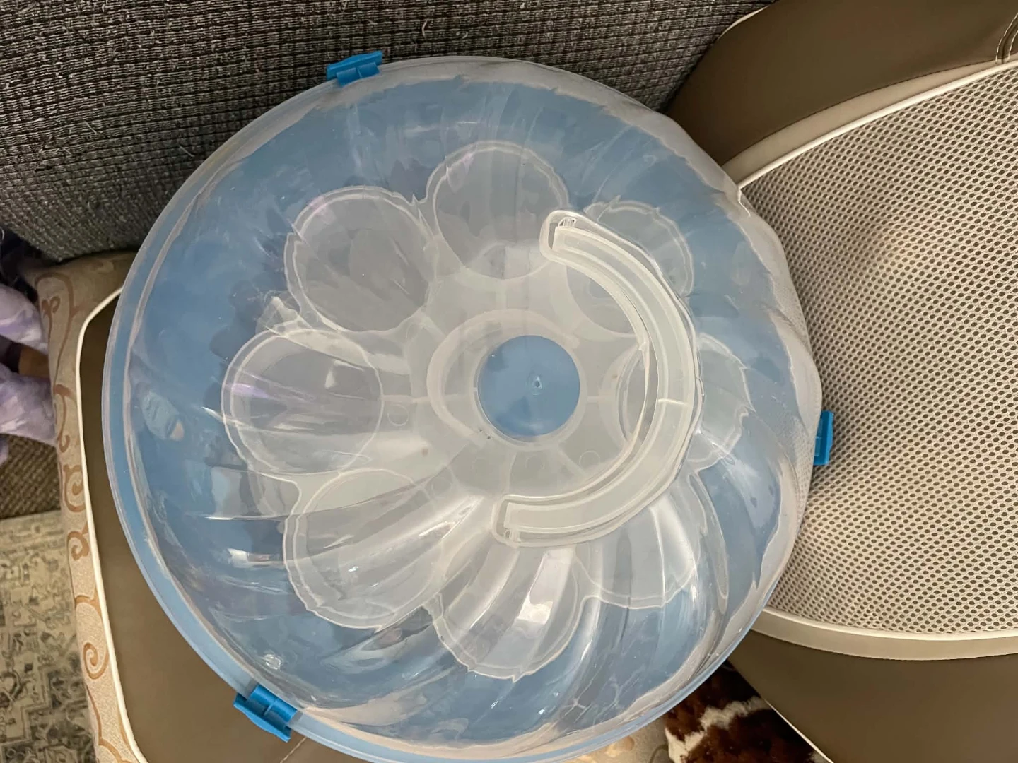 Blue Plastic Cupcake Carrier