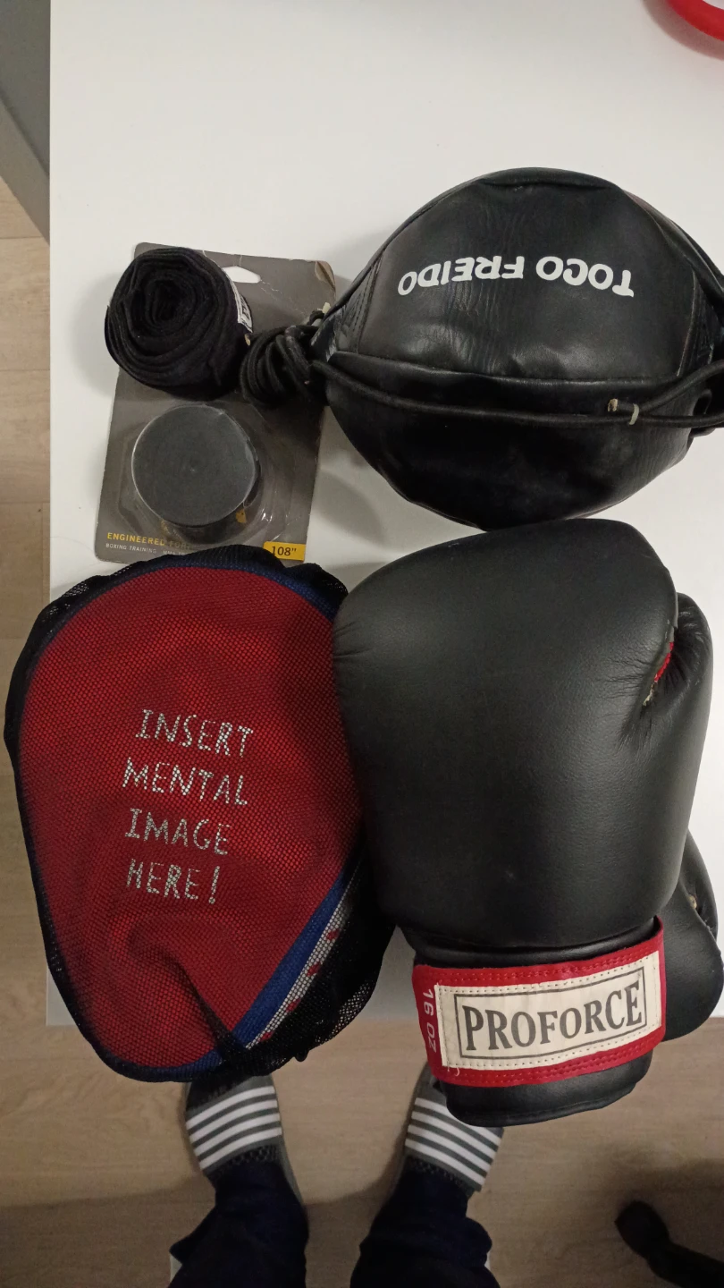 ProForce 16oz Boxing Gloves and Training Set