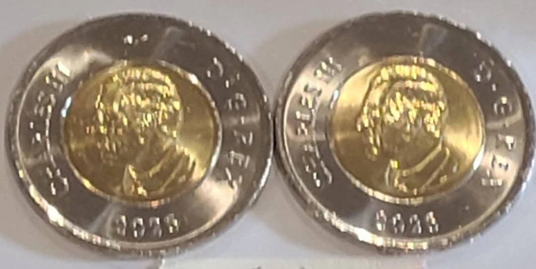 Two varities of CN tower toonies - photo 4