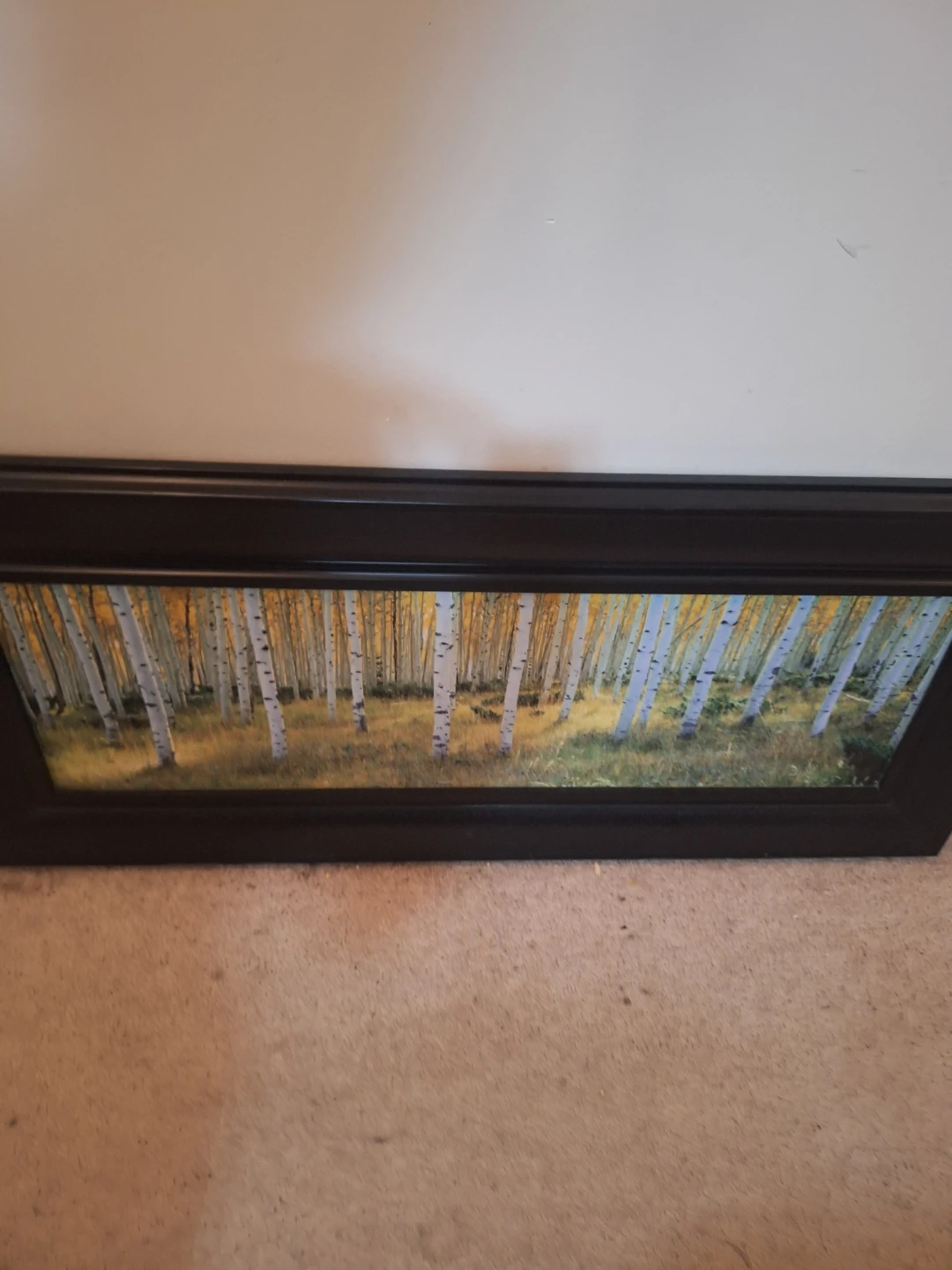 Framed Aspen Forest Wall Art