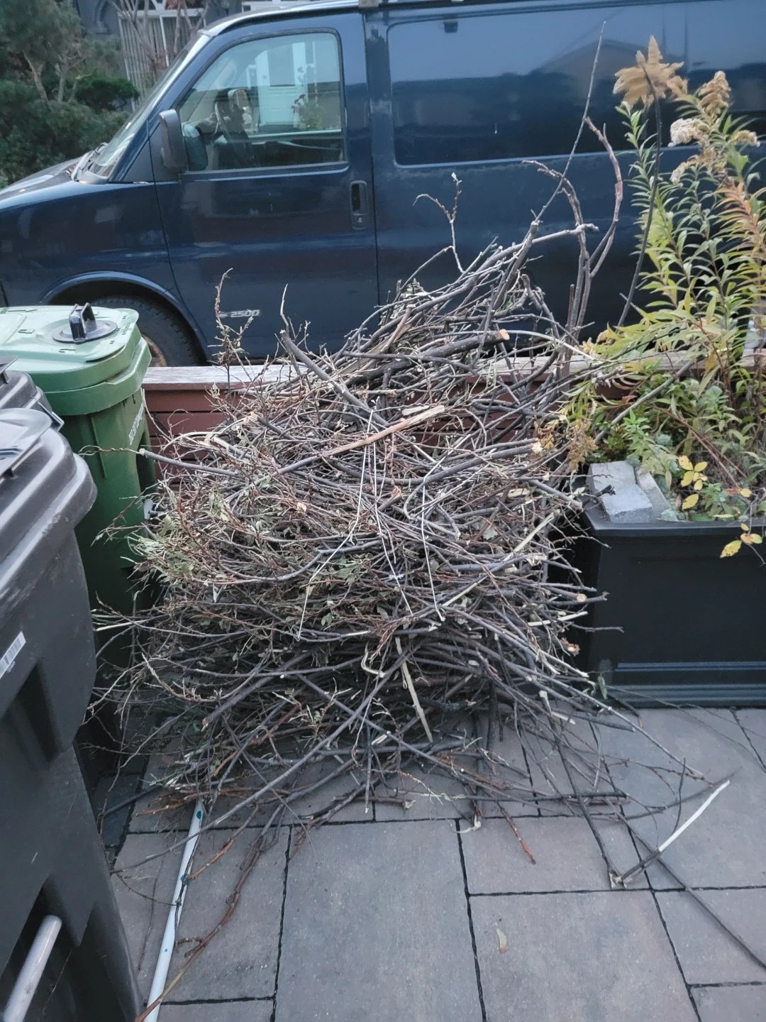 Free firewood sticks and tree branches - photo 3