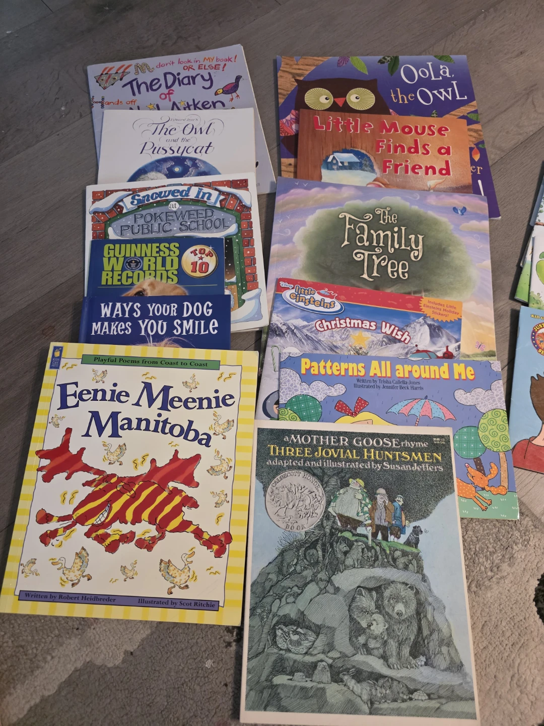 Assorted Children's Picture Book Collection