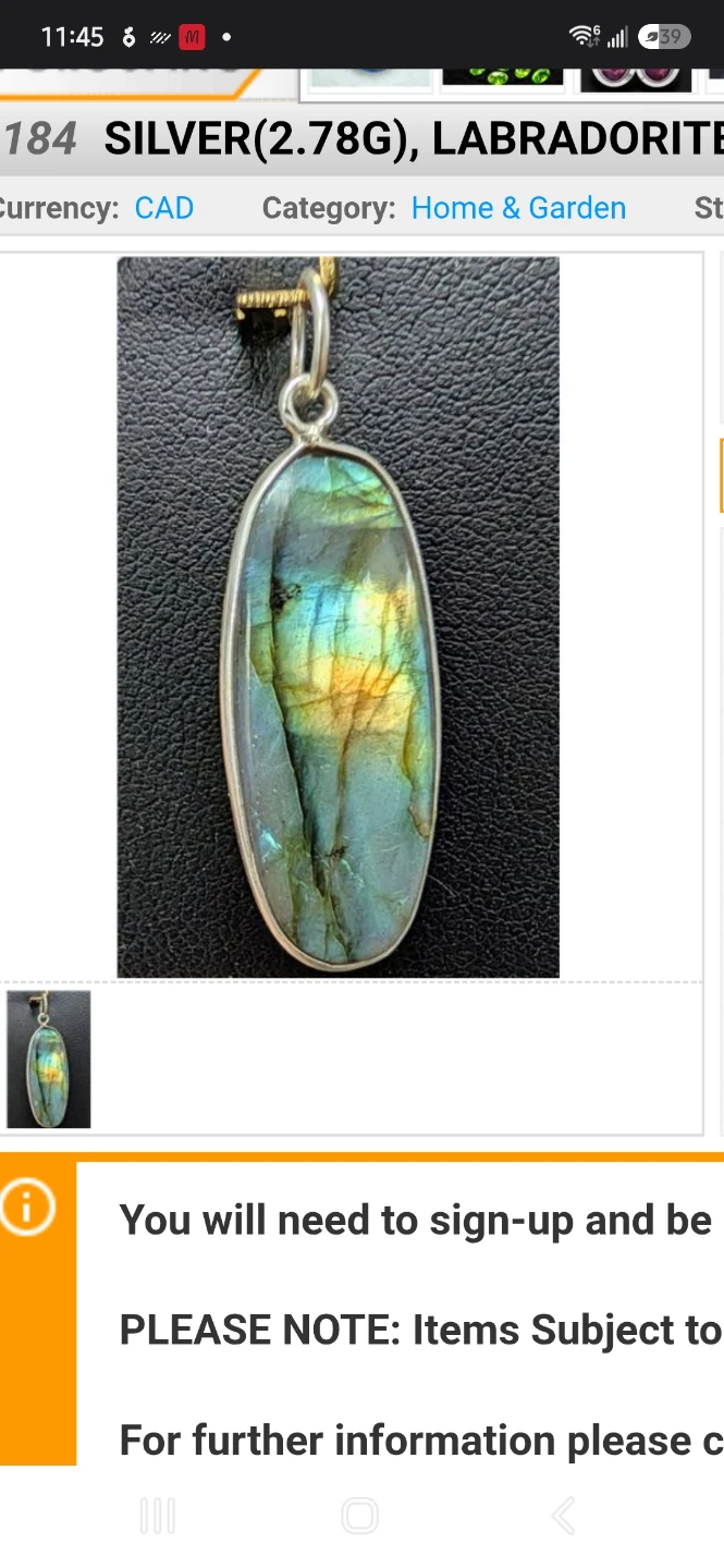 Labradorite and Silver Pendant