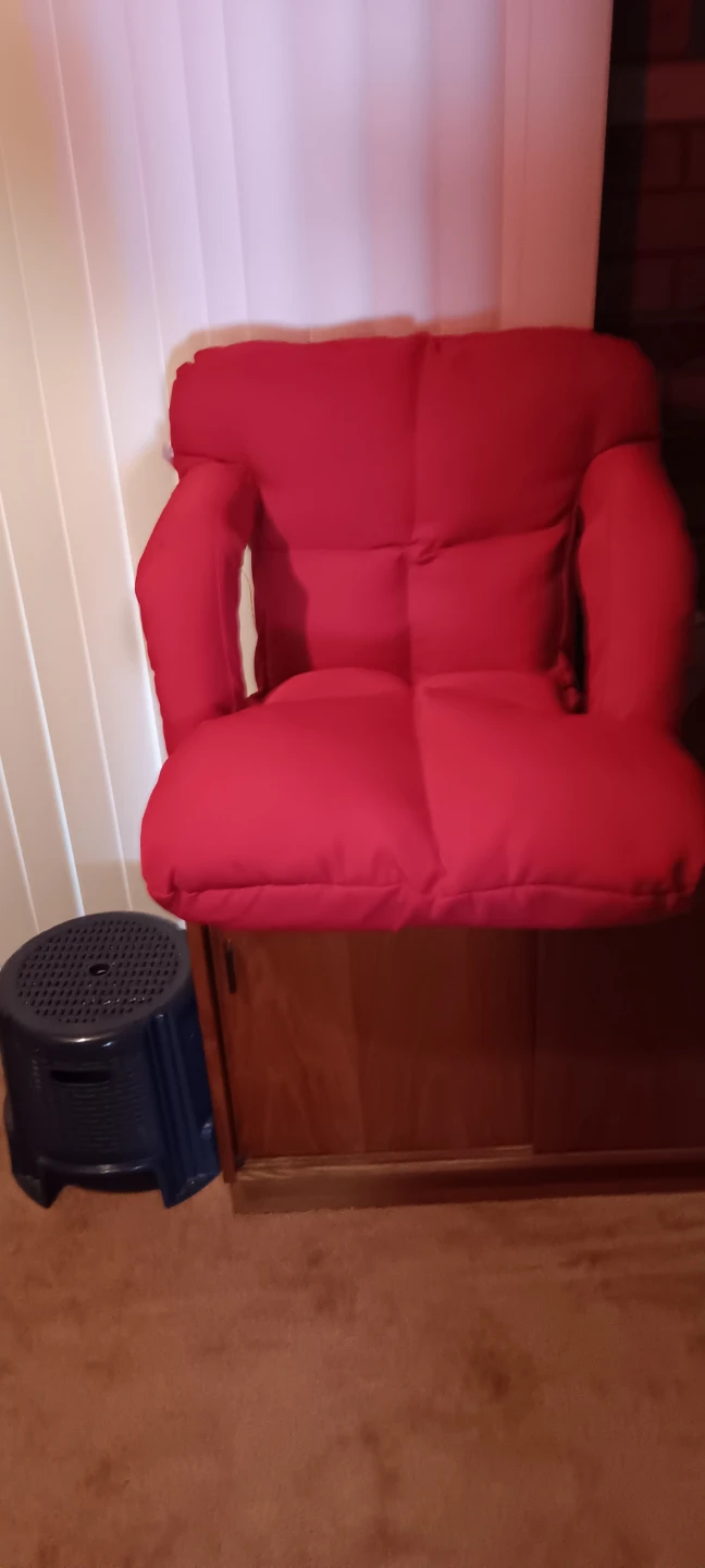 Red Adjustable Stadium /Floor Chair
