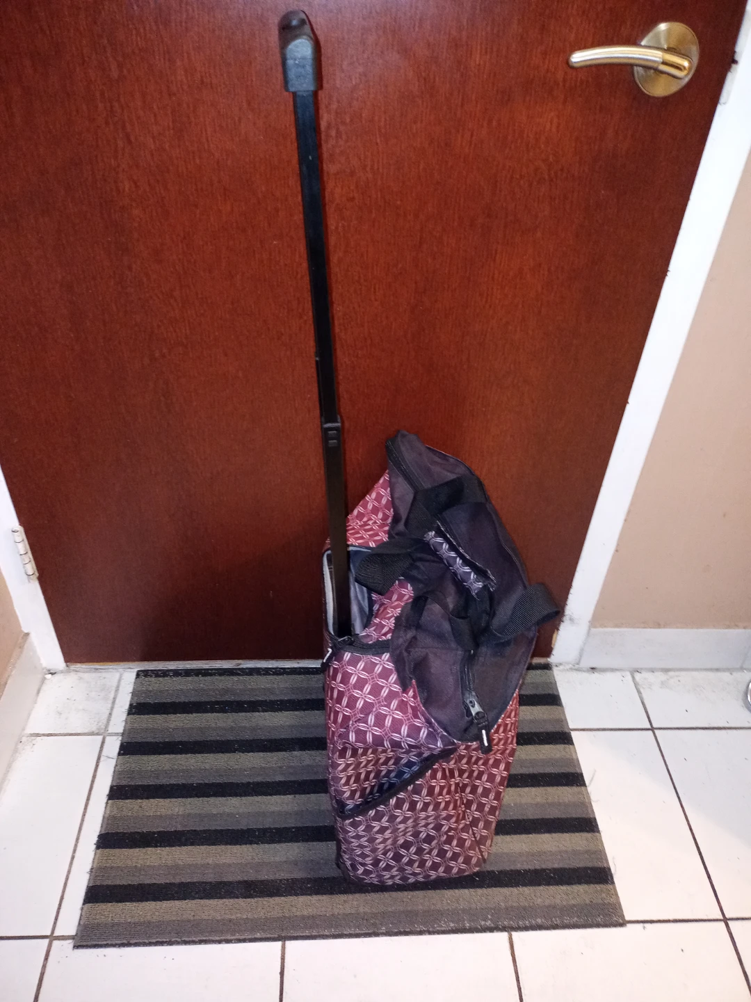 Shopping Cart / Bag - photo 3