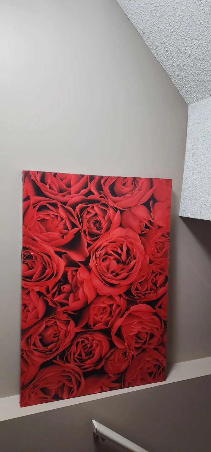 Red Rose Canvas Wall Art