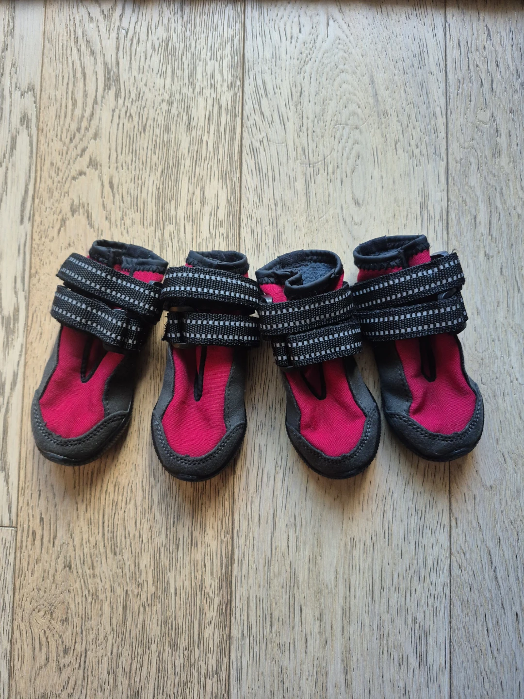 Set of 4 Small Dog Boots