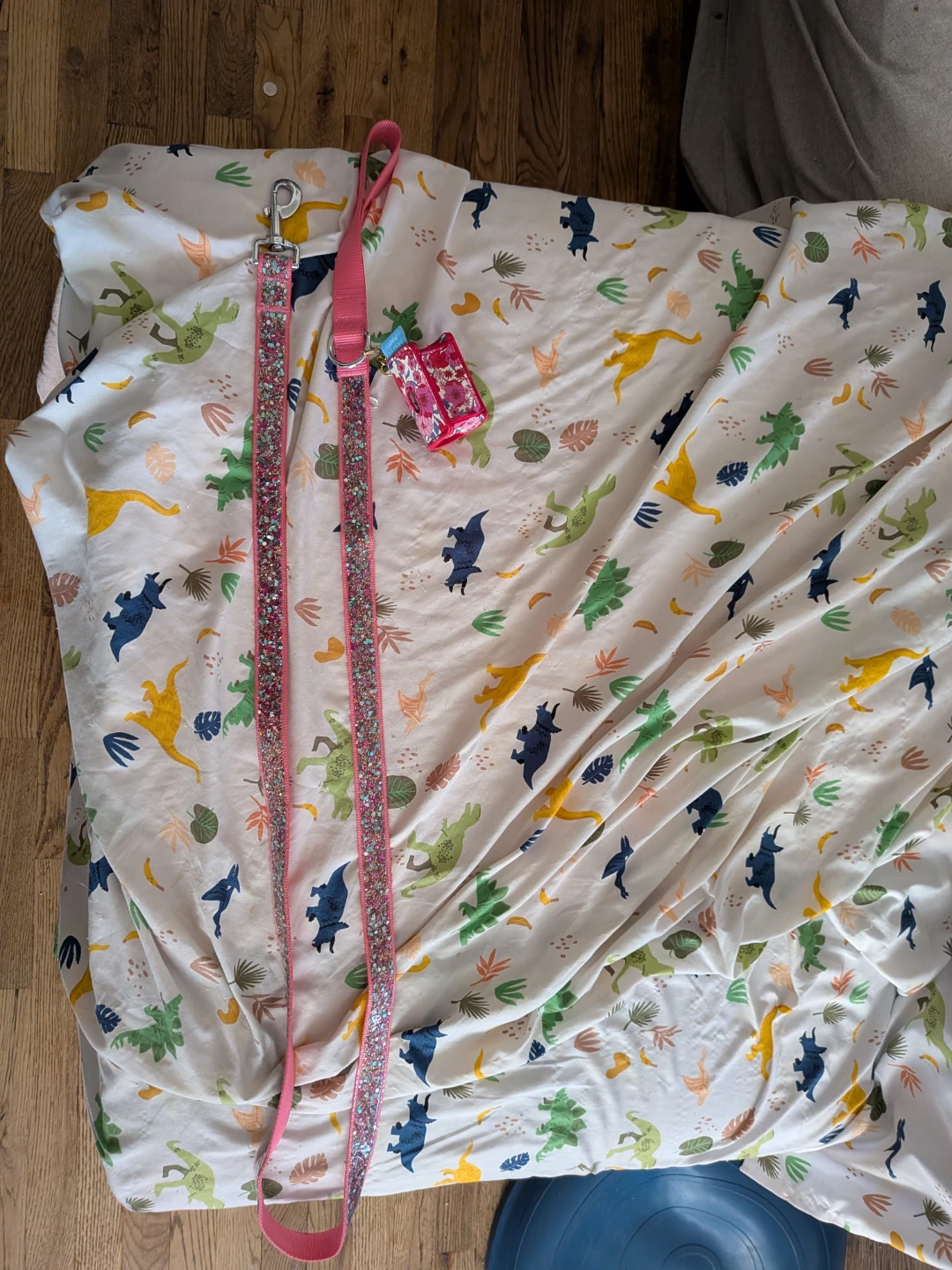 Draper James Floral Dog Leash and Waste Bag Holder
