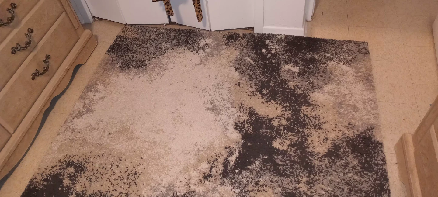 Abstract  Area Rug - Grey and Brown