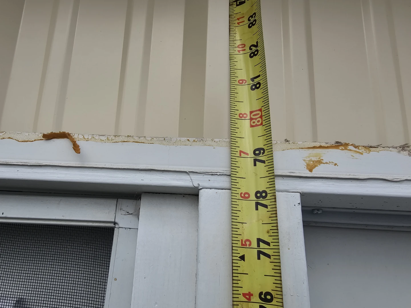 Patio doors - photo 3