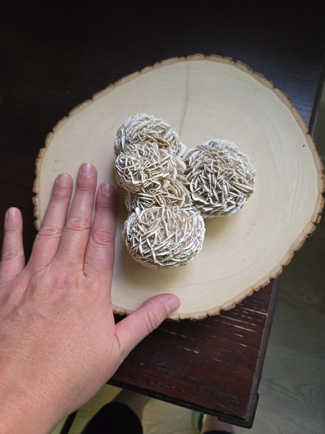 Cluster Desert Rose Selenite Crystal Specimen