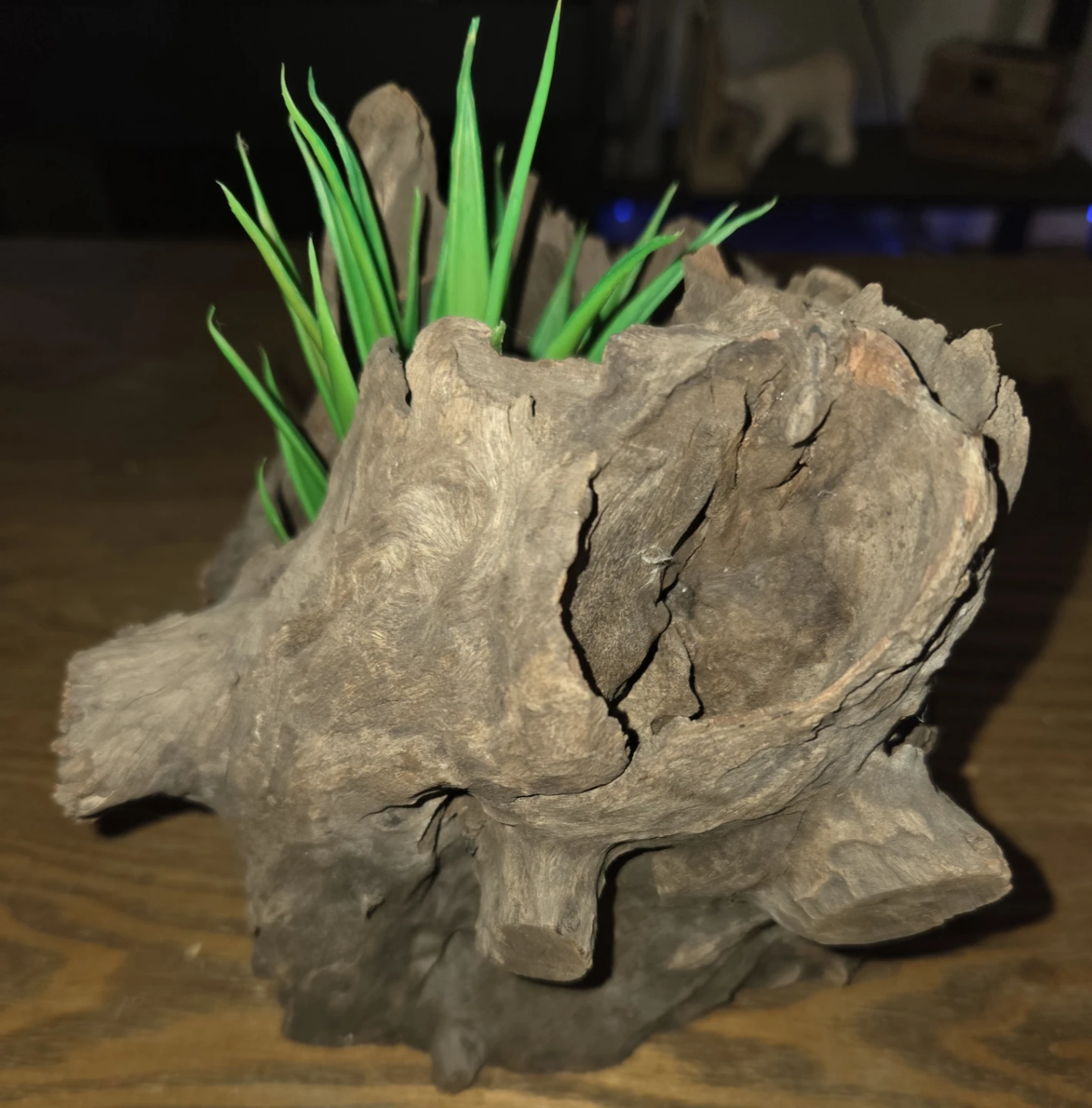 Driftwood Planter with Artificial Succulent - photo 3