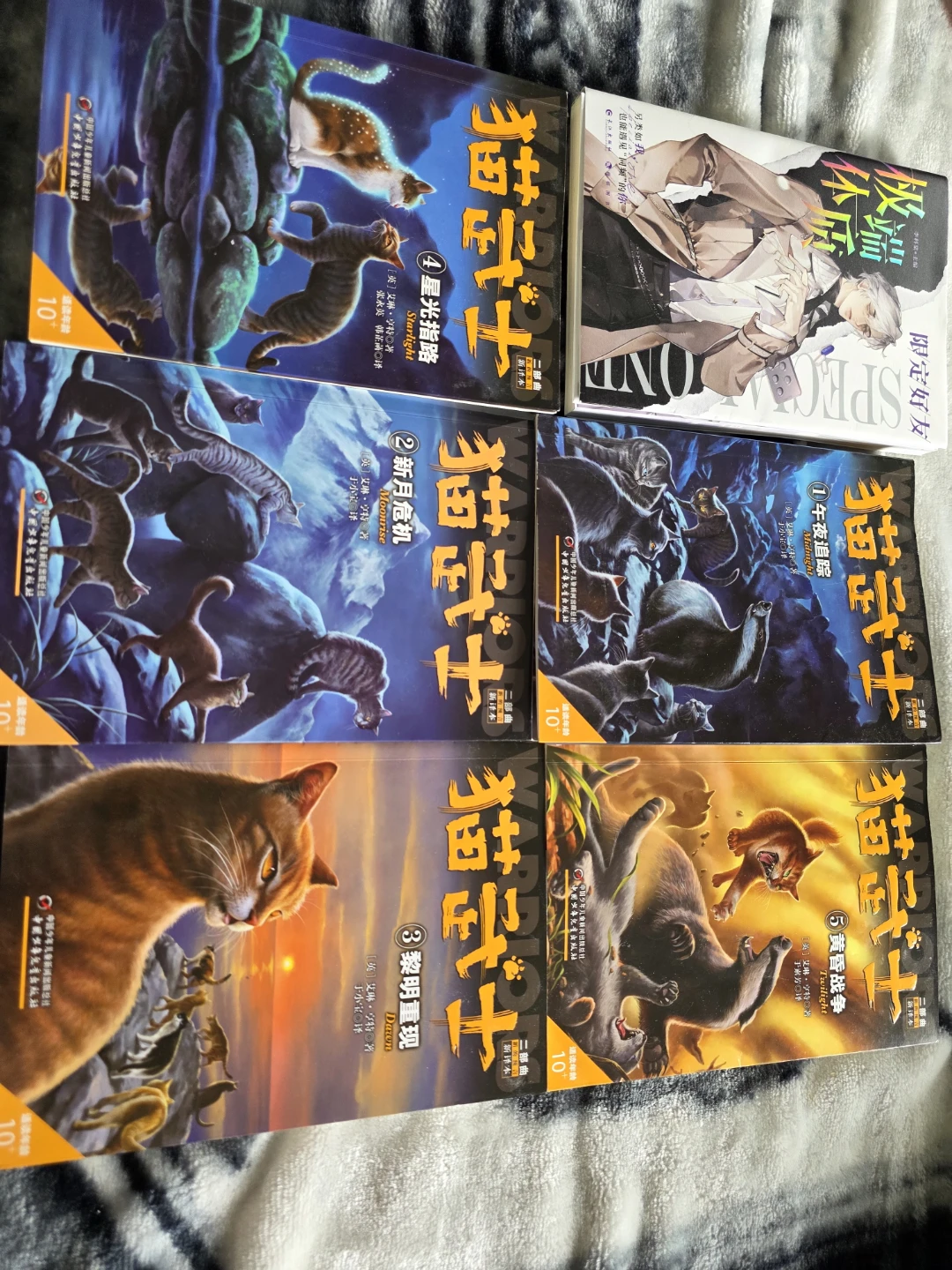 Assorted Young Adult Fantasy and Adventure Book Collection