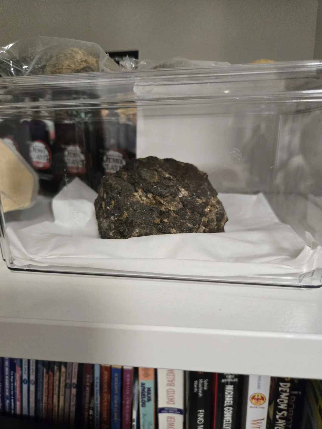 Martian Specimen (NWA 15364)