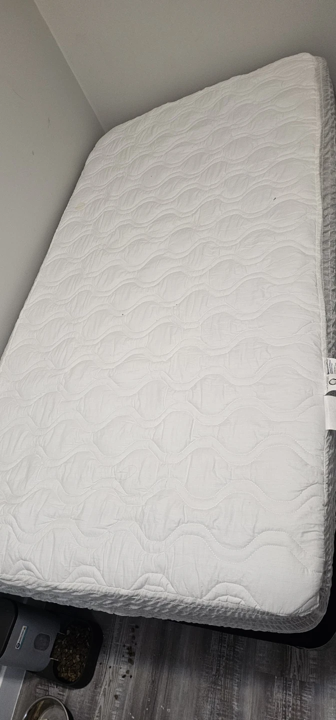 Single twin mattress and boxspring
