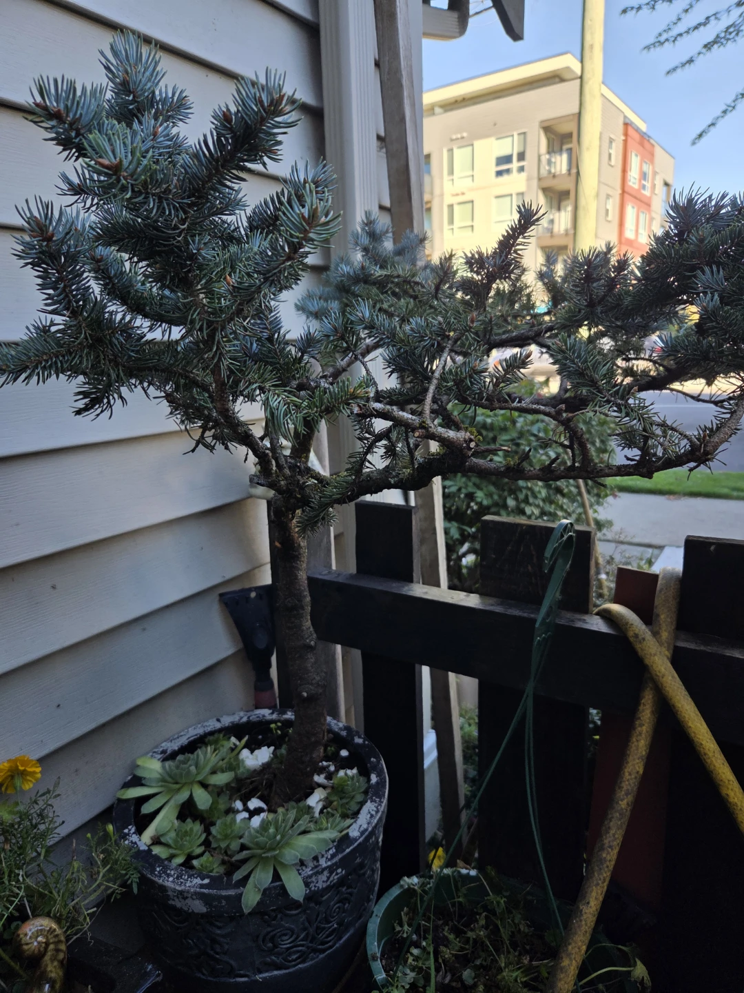 Garage sale &moving sale - photo 2