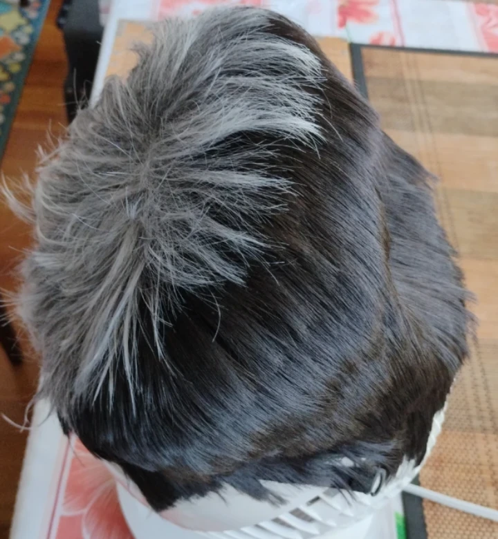 Halloween Short Salt and Pepper Men's Toupee - photo 3