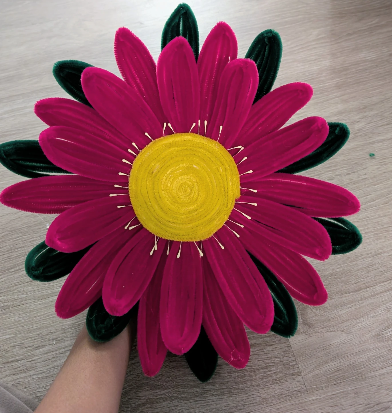 Lotus asan