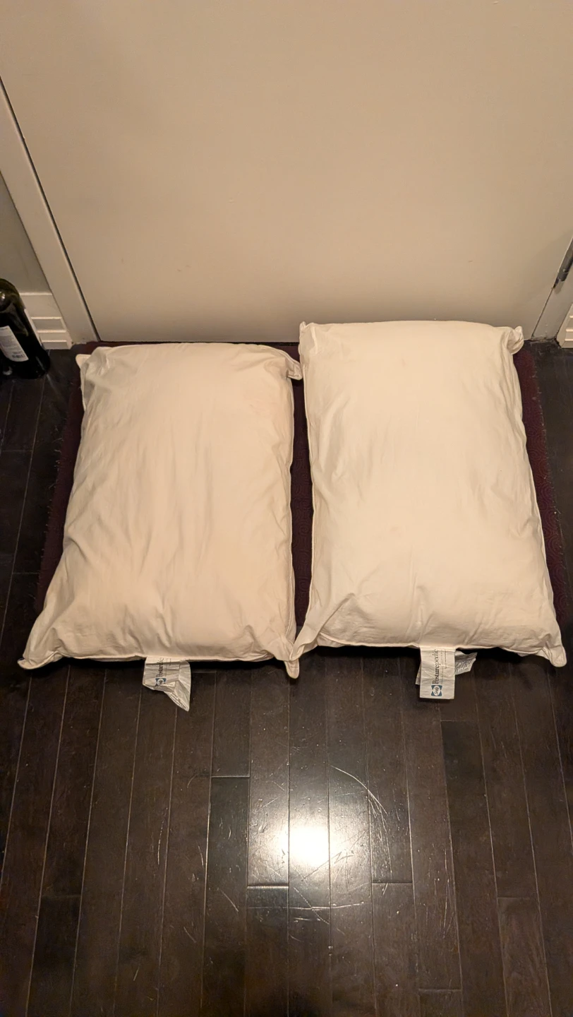 Two Sealy Posturepedic Pillows w/ Cases