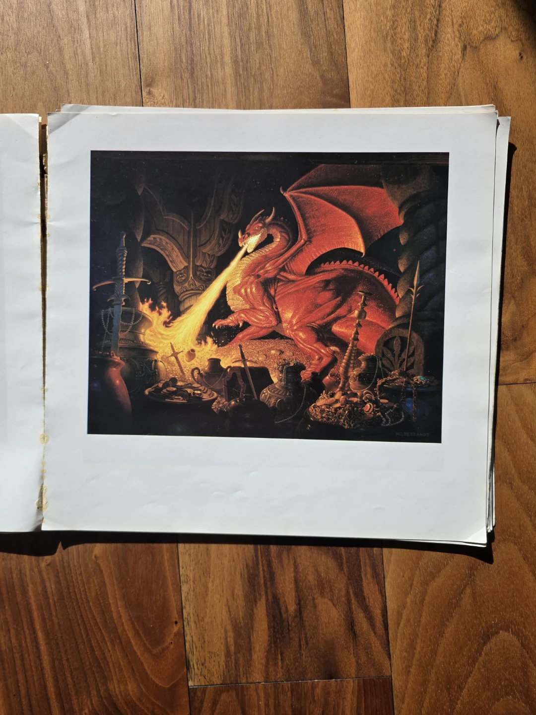 The Art of the Brothers Hildebrandt - photo 3