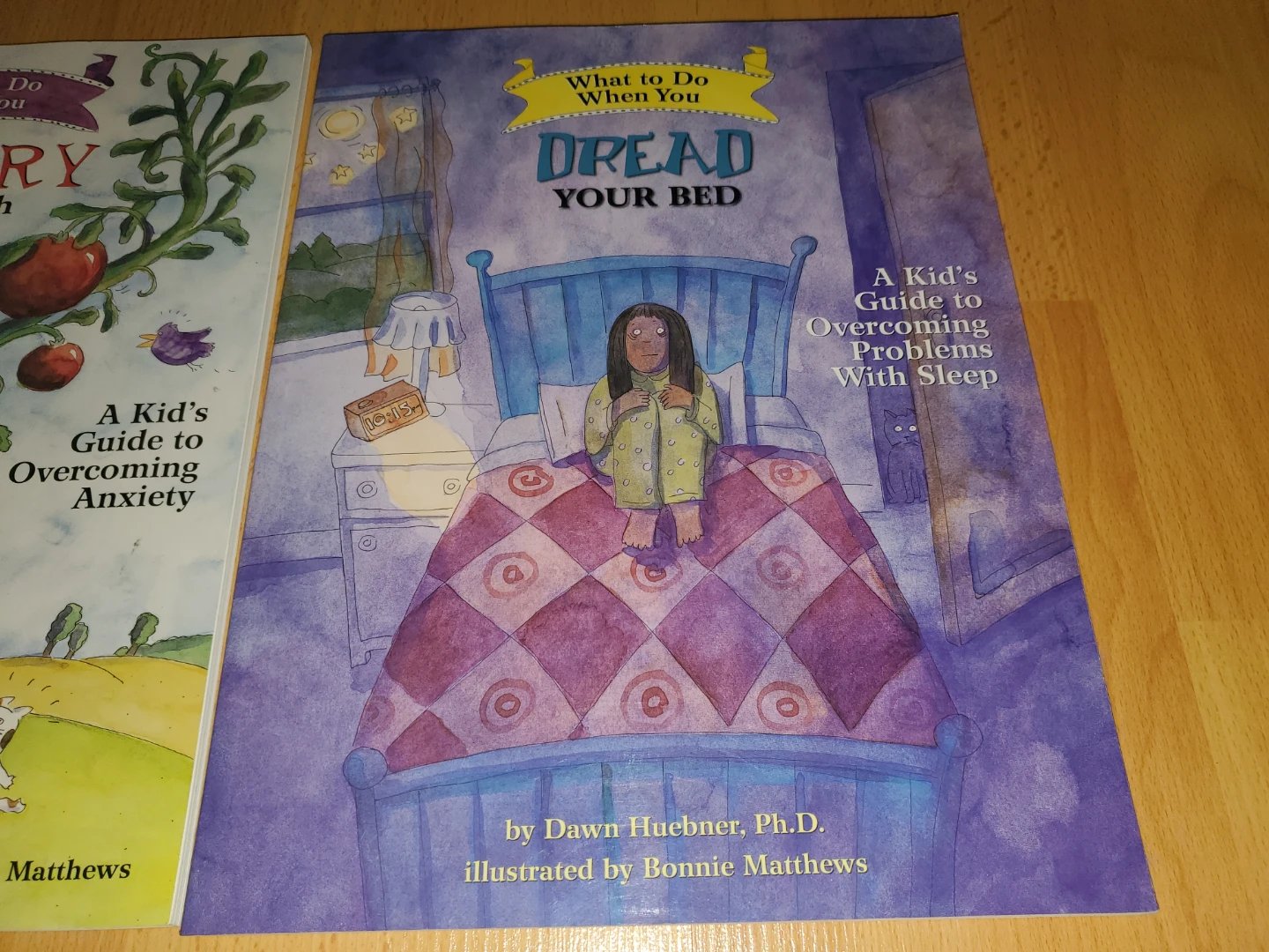 What to Do When You Dread Your Bed - Children's Book
