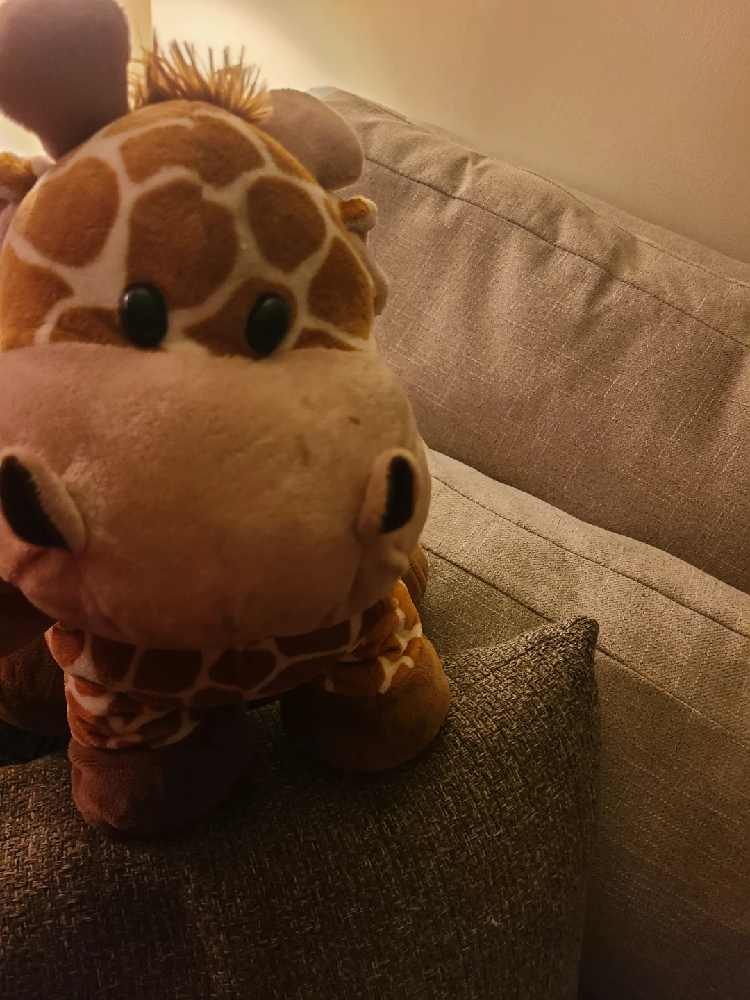 Plush Giraffe Stuffed Animal - photo 5