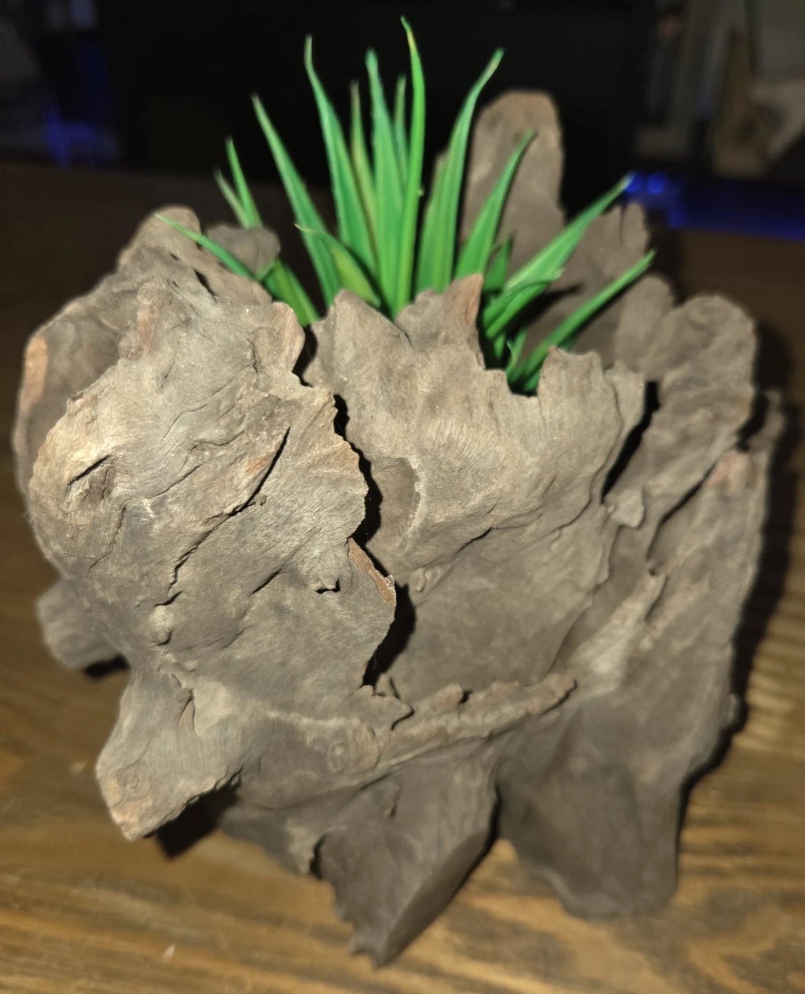 Driftwood Planter with Artificial Succulent - photo 2