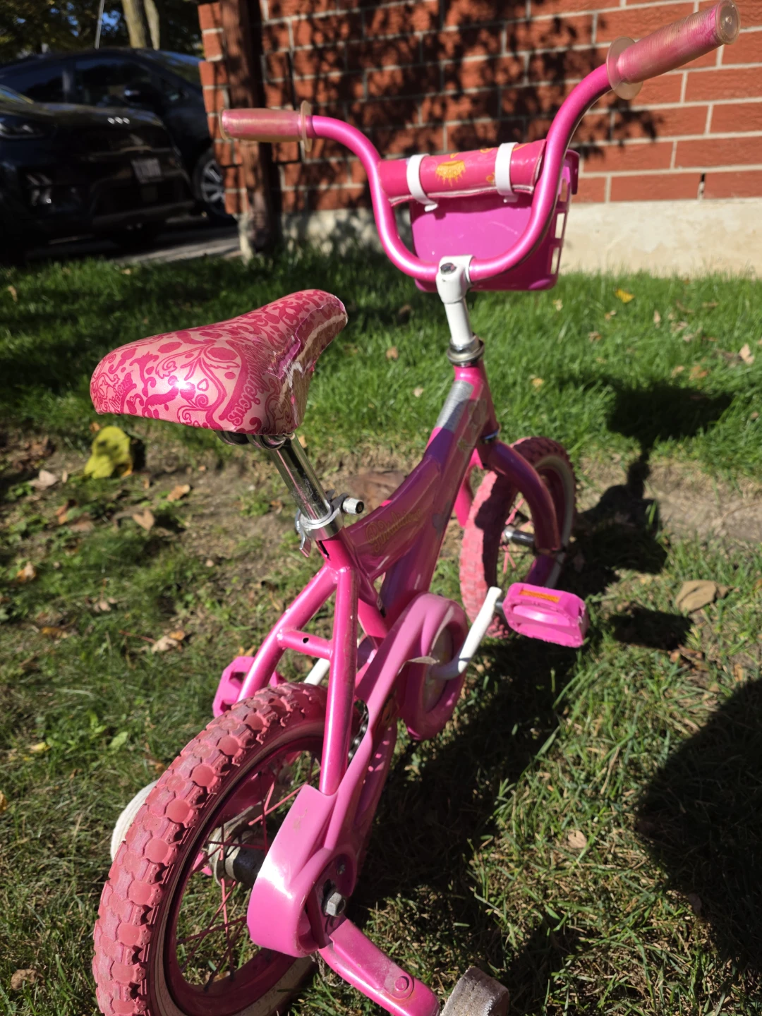 Girls Pinkalicious Bicycle -- 12", Training Wheels & Basket - photo 3