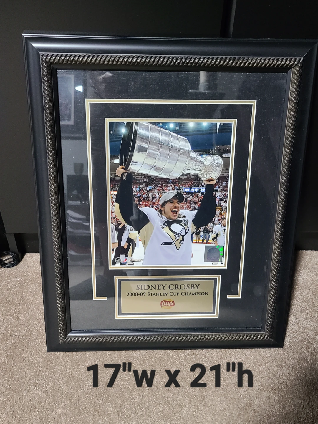 Sidney Crosby 2008-09 Stanley Cup Champion Framed Photo