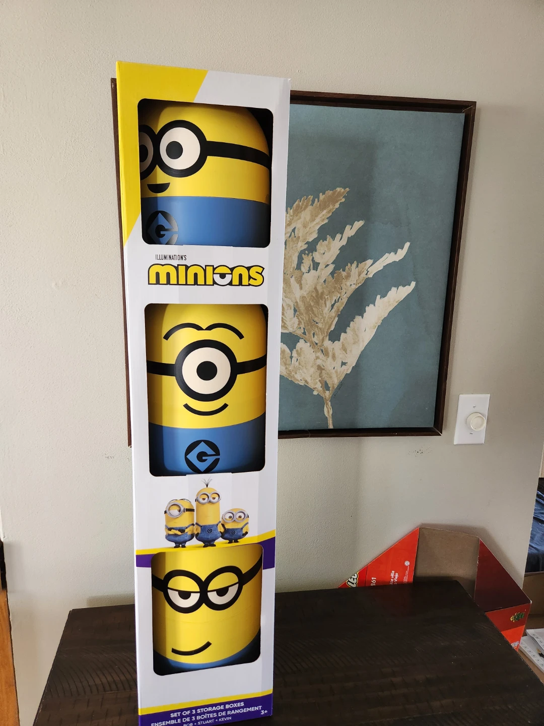 Minions Set of 3 Storage Boxes